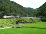 P1100233.jpg