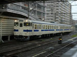 P1110493.jpg