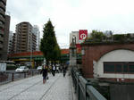 P1130257.jpg