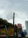 P1090431.jpg