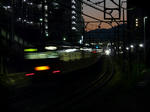 P1130364.jpg