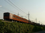 P1130539.jpg