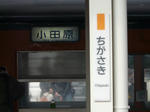 P1180257.jpg