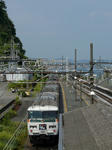P1180754-k.jpg