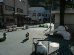 P1200204.jpg