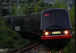 P1210338-kt.jpg