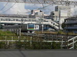 P1210546.jpg