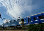 P1210593-t.jpg