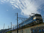 P1210599-k.jpg