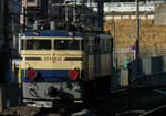 P1220464-kt.jpg