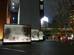 P1220772-k.jpg