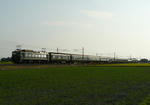 P1240012-t.jpg