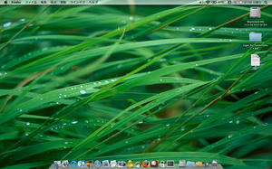 [画像：Mac OS X Leopard モドキ]