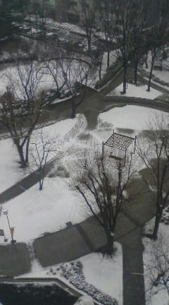 [画像：雪だ]
