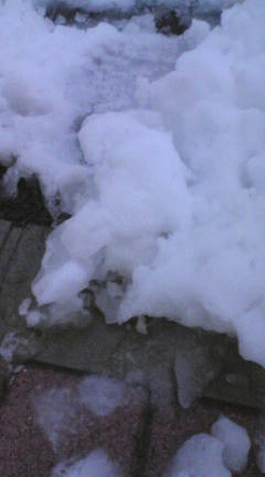 [画像：雪じゃ雪じゃ]
