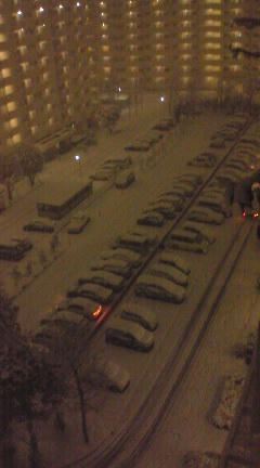 [画像：雪雪雪]