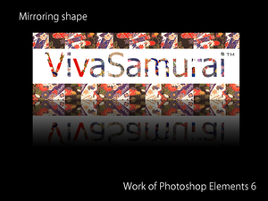 [画像：Mirroring shape]