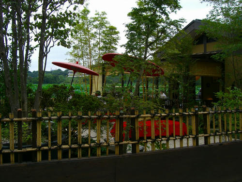 CIMG4802.jpg