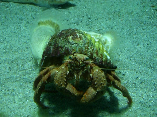 CIMG5880.jpg