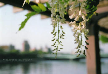1b09cf34.JPG