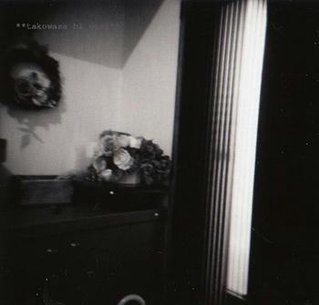holga4.JPG