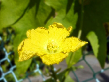 a51f67e2.jpg