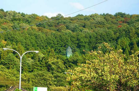 c5544f66.jpg