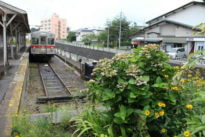 IMG0253-2.JPG