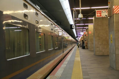 442557ce.JPG