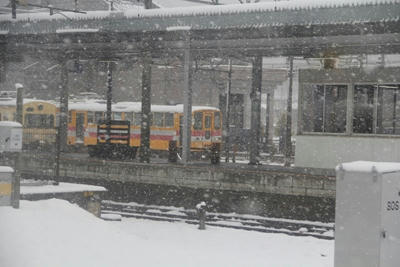 d7774557.JPG