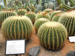 DSCN0867.jpg
