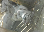 DSCN2923.JPG