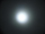 IMG_2598.JPG