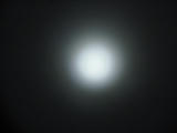 IMG_2600.JPG