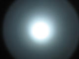 IMG_2579.JPG