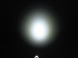 IMG_2845.JPG