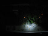 IMG_2975_R.jpg