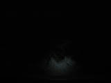IMG_3154_R.jpg