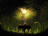 IMG_3127_R.jpg