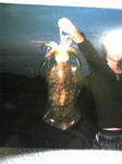 SH370010.jpg