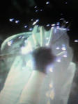 2010123023280000.jpg