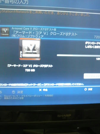 P1000214.JPG