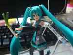 DSC00307.JPG
