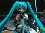 DSC00374.JPG