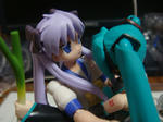 DSC00363.JPG