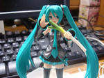 DSC00428.JPG