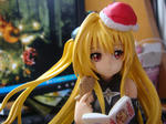 DSC00505.JPG