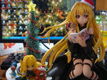 DSC00512.JPG