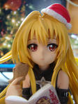 DSC00514.JPG