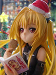 DSC00515.JPG